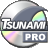 TSUNAMI-MPEG DVD Author PRO Trial Version