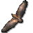 Eagle Flight 3D icon