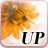 MiPlatform_Updater321