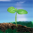 MYOB BusinessBasics v1