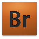 Adobe Bridge CS4