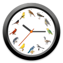 BirdClock