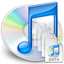 iTunes Library Manager
