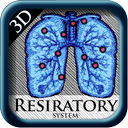 3D Respiratory System Pns