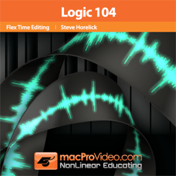 Course For Logic Flex Time Editing
