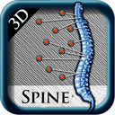 3D Spine St