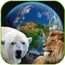 Amazing Earth 3D - Wild Friends