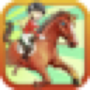 Horse Racing Winner 3D