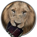 VisualHub Lion Updater
