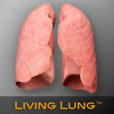 Living Lung™ - Lung Viewer