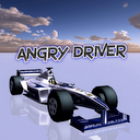 Angry Driver