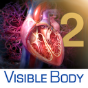 3D Heart and Circulatory Premium 2