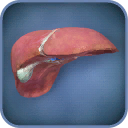 Liver Viewer