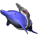 Laser <b>Dolphin</b>