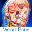 Visible Body 3D Human Anatomy Atlas