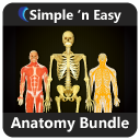 Anatomy Bundle by WAGmob