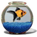 Goldfish Aquarium