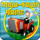 Mow-Town Riding Lite