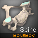 BoneBox - Spine