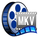 MKVConverter Plus