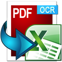 PDF to Excel with OCR