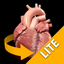 Heart3D Atlas of Anatomy