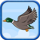 Flying Duckling