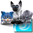 3D Desktop Kitty Cats Screen Saver