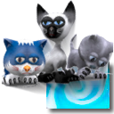 <b>3D</b> Desktop Kitty Cats <b>Screen</b> <b>Saver</b>