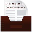 Premium College Essays
