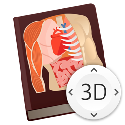 <b>Anatomy</b> Lesson 3D