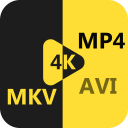 AnyMP4 MKV Converter