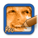 SketchMee Pro