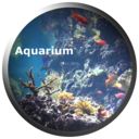 Aquarium Videos