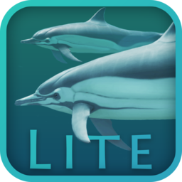 Dolphins 3D Lite