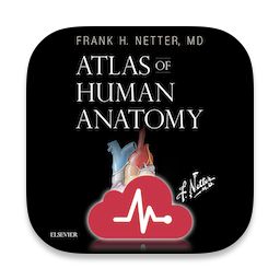 Netters <b>Atlas</b> of Human <b>Anatomy</b>