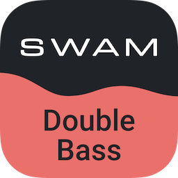 SWAM Double Bass 3