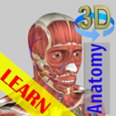 3D <b>Anatomy</b> Learning