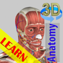 3D Anatomy Learning