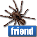 SpiderFriend