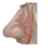 3D Anatomy for Otolaryngology and Head and Neck Surgery