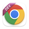 Google Chrome