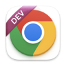 Google Chrome