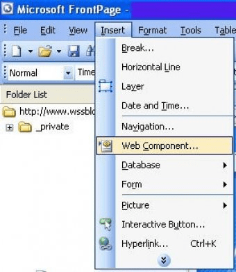 microsoft office web components 2007
