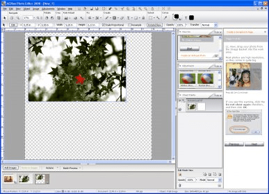 download acdsee photo editor 2008