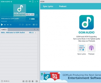 program like gom audio