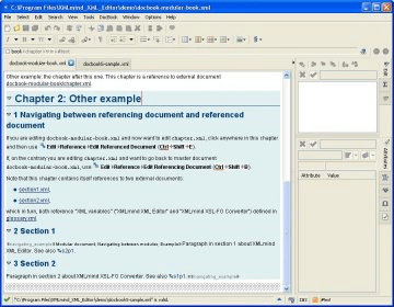 instruction xmlmind xml editor