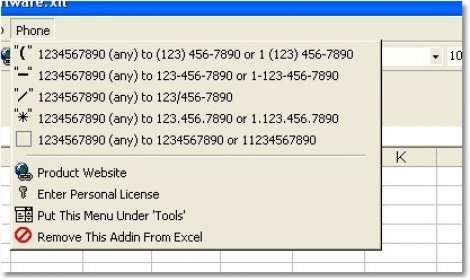 insert phone number in excel