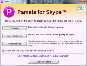 Pamela for skype review