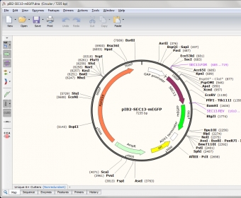 snapgene viewer author